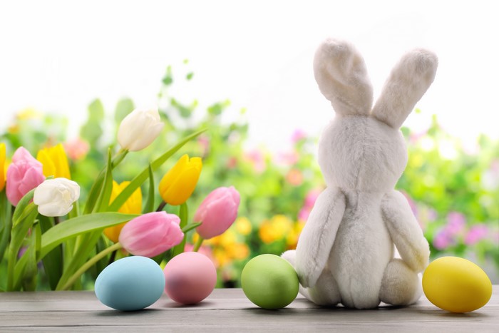 Easter Bunny with Tulips and Eggs