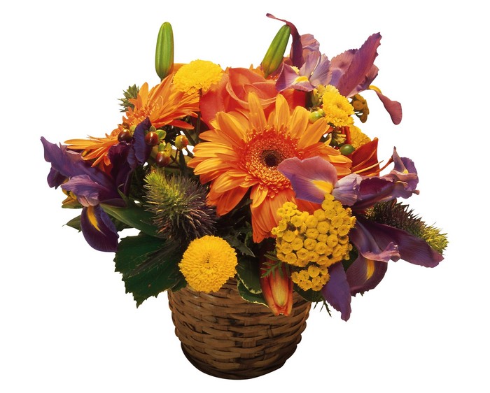 Orange Gerberas and Purple Irises in Wicker Basket