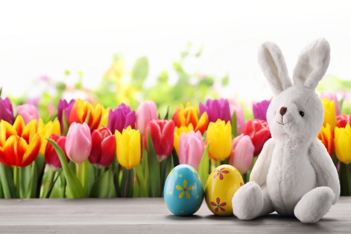 Easter Bunny with Tulips and Decorated Eggs