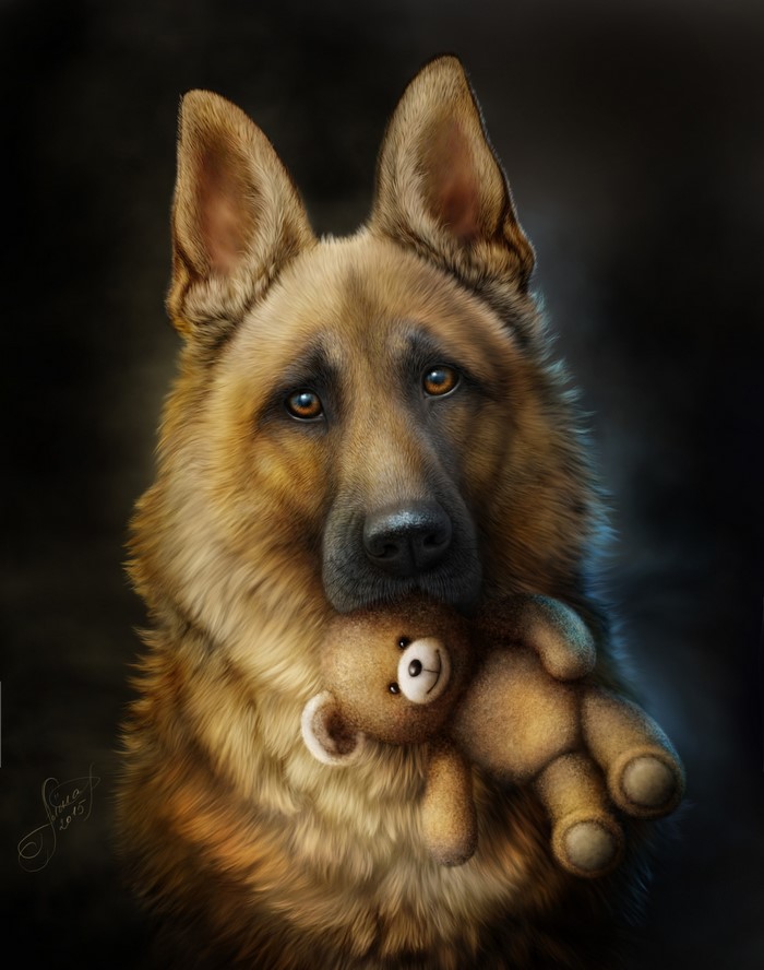 Shepherd Dog Holding Teddy Bear in Dark Background