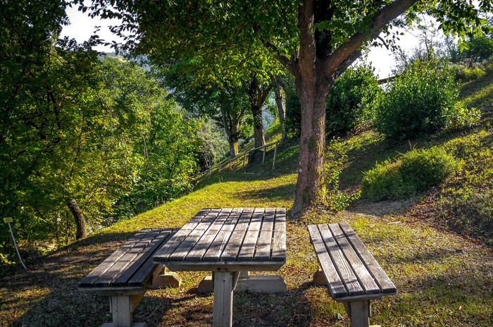 Picnic table and benches in a park with trees