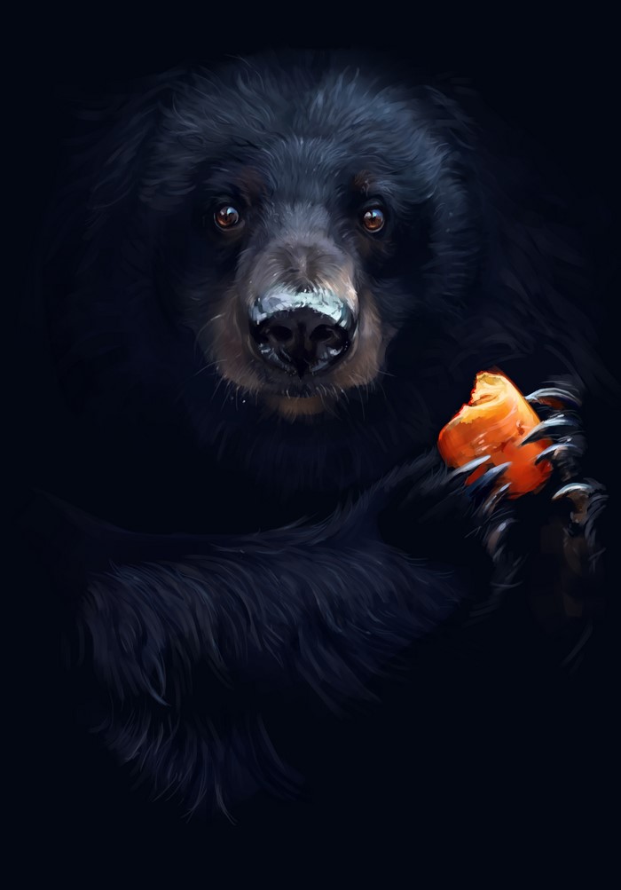 Black Bear Holding an Orange Fruit