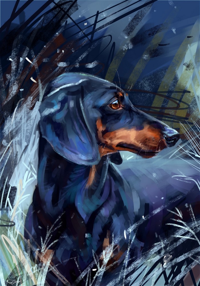 Painting of a Dachshund dog