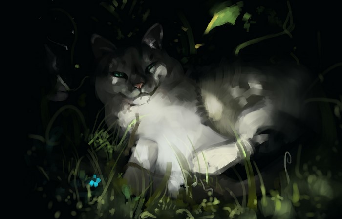 Cat resting in grass at night