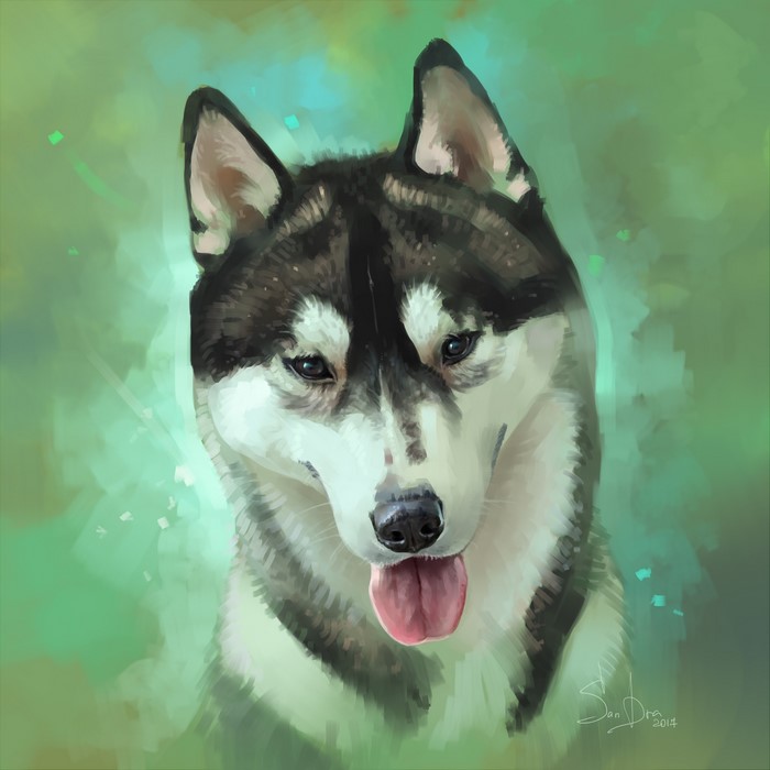 Painting of a Husky dog's head
