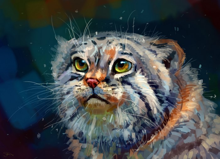 Painting of a Pallas Cat's Face