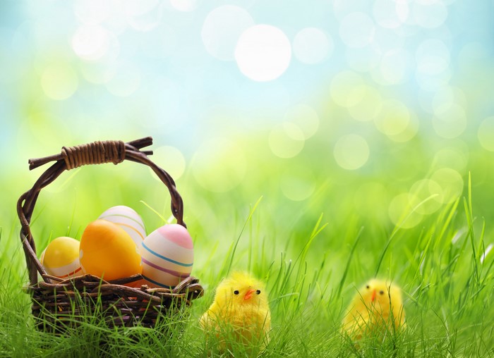 Easter basket with eggs and chicks in grass