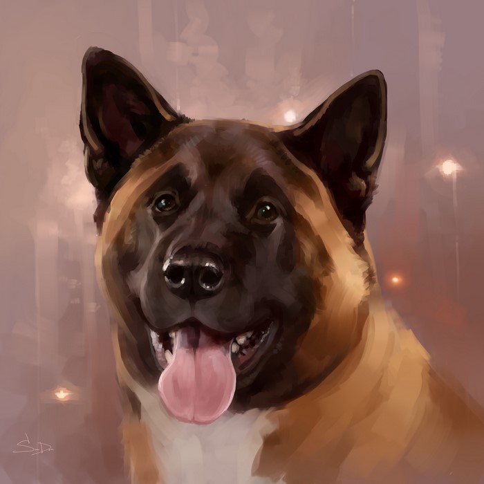 Painting of an American Akita dog with its tongue out
