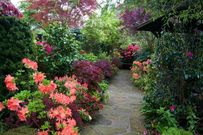 A stone path winds through a vibrant garden in Walsall, England.