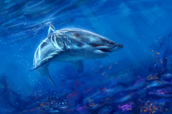 Great white shark swimming in blue ocean water