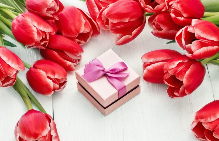 Red Tulips and Gift Box on Wood Planks