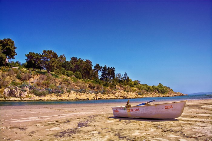 Boat on a sandy beach with trees and blue sky