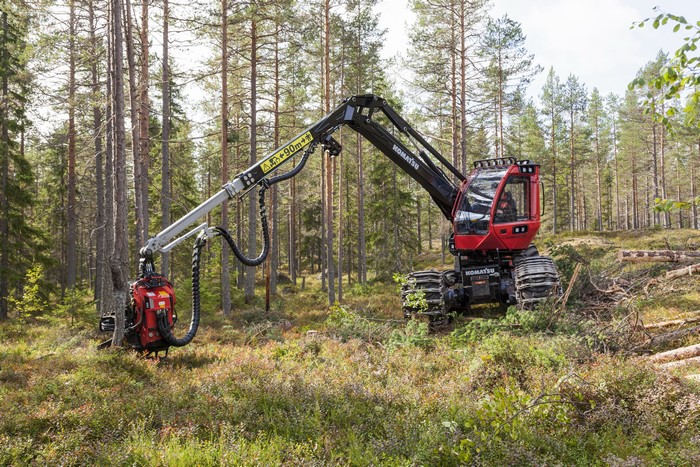 Komatsu 911 Harvester in a Forest