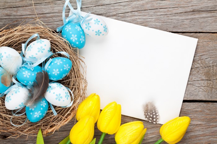 Easter eggs in a nest with tulips and a blank card