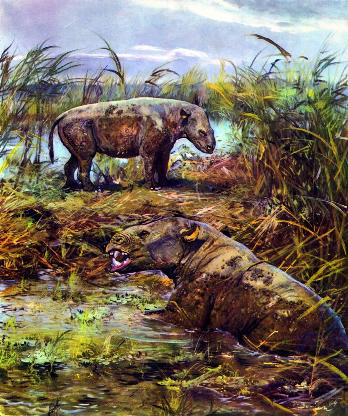 Metamynodon in a swamp by Zdenek Burian