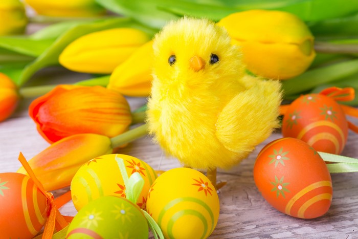 Easter chick with tulips and decorated eggs