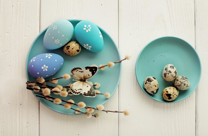 Easter eggs and pussy willow branches on plates
