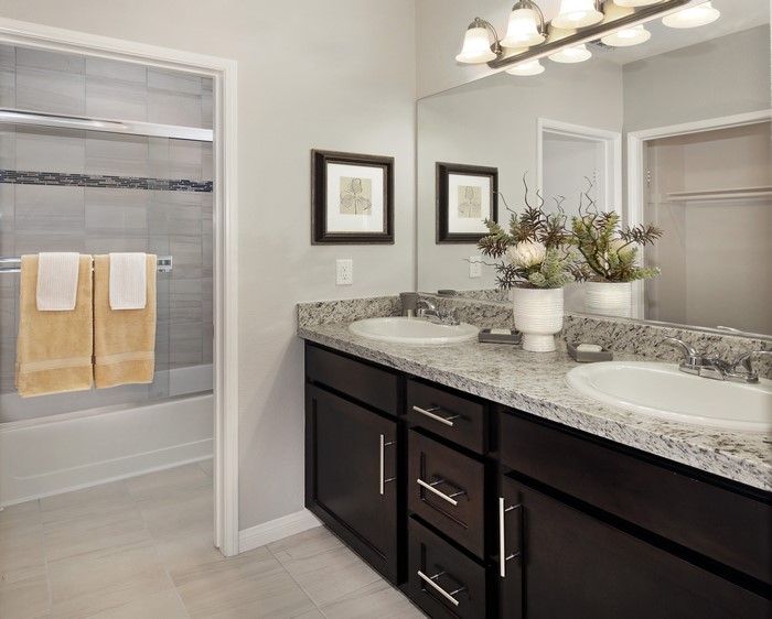 Bathroom Interior Design with Double Vanity and Bathtub