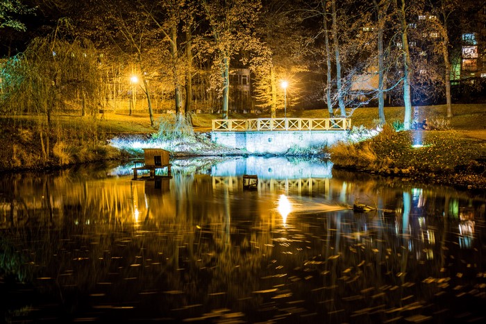 Park lake at night with bridge and street lights in Liberec