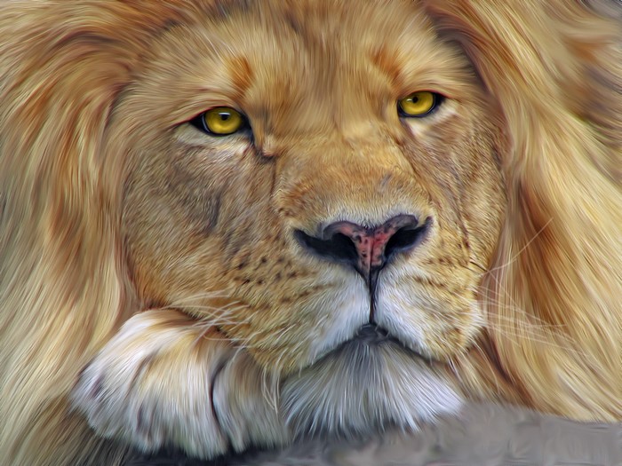 Close-up of a lion's face with yellow eyes