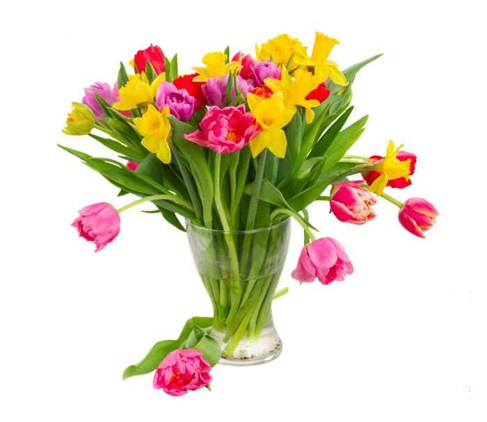 Bouquet of Tulips and Daffodils in a Vase