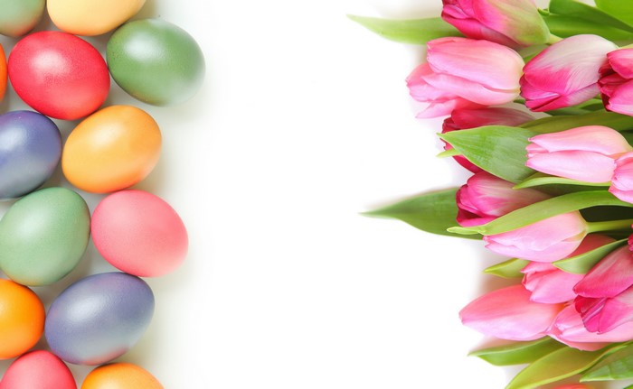 Easter Eggs and Pink Tulips
