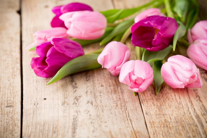 Pink and purple tulips on wood planks