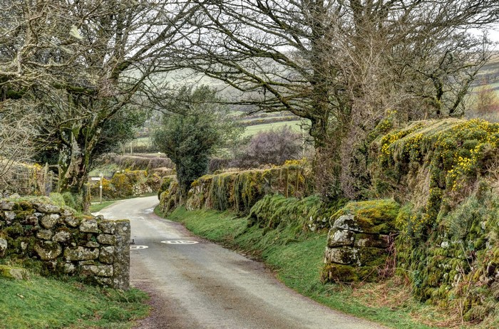 Country road lined with stone walls and trees