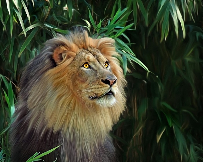 Lion with a mane in green foliage