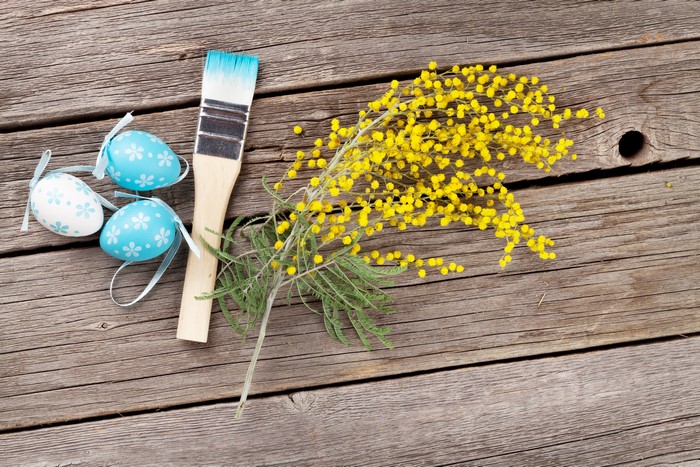 Easter eggs, paintbrush, and mimosa flowers on wood