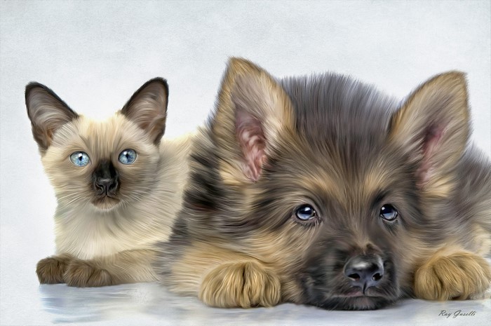Siamese Cat and German Shepherd Puppy