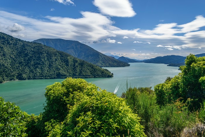 4K Cullen Point Lookout Havelock New Zealand Scenery