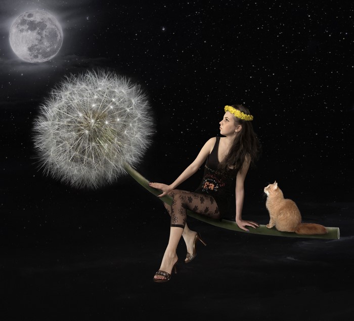 Woman and cat on a dandelion with moon and stars