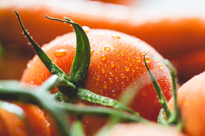 Tomatoes with water drops, macro shot
