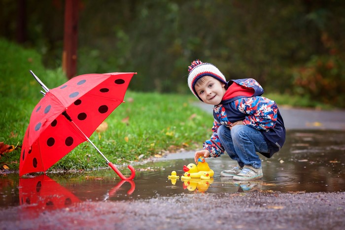 Boy playing with rubber ducks in a puddle with a ladybug umbrella