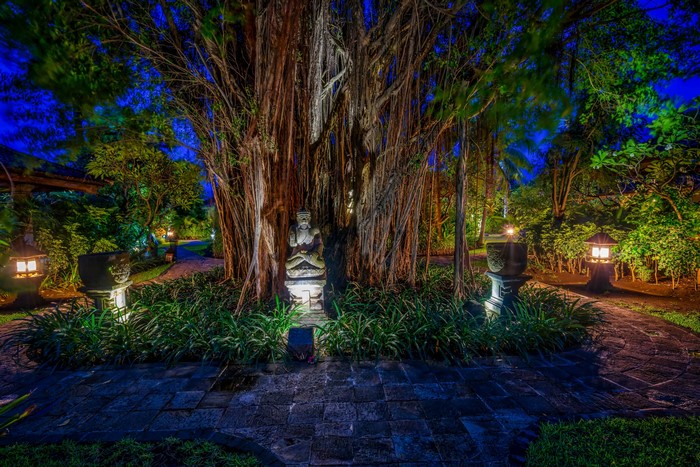 Night garden with banyan tree and statue in Bali