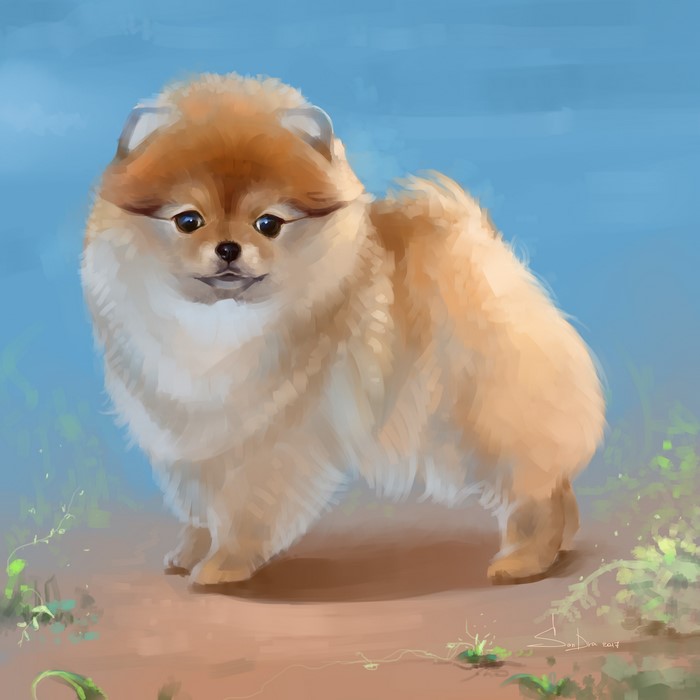 Painting of a Pomeranian dog