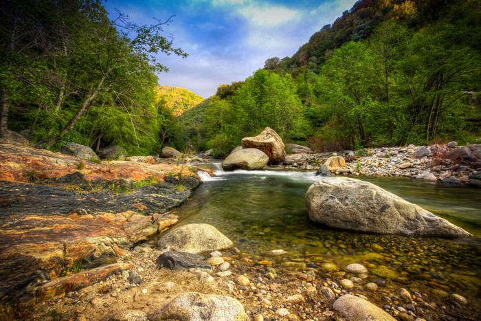 River flowing through Sequoia National Park with trees and rocks