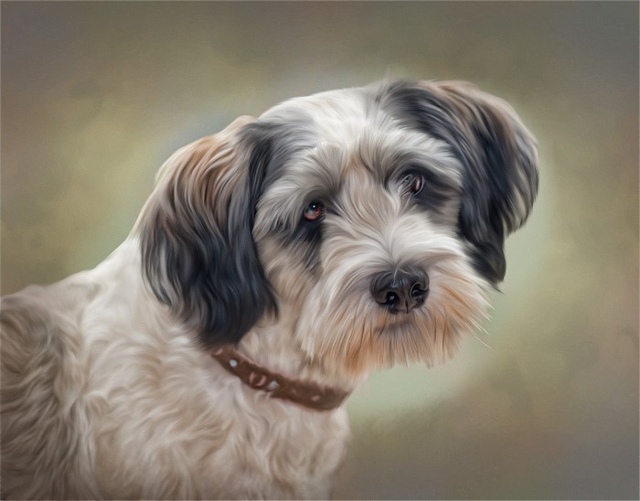 Painting of a shaggy dog with dark and light fur
