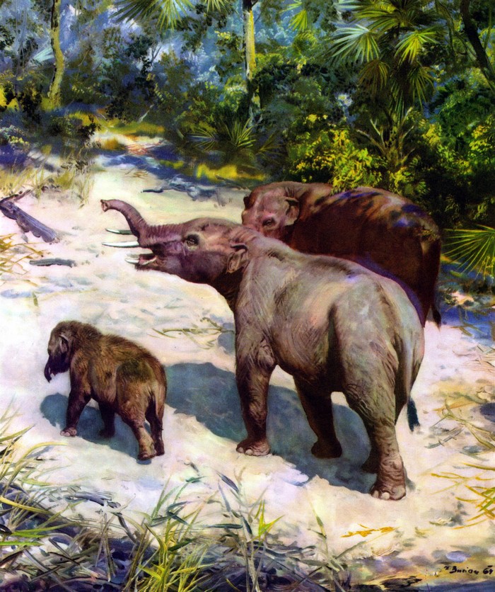 Tetralophodon longirostris family in prehistoric forest by Zdenek Burian
