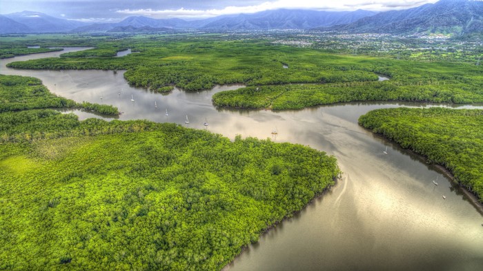 Aerial view of Portsmith Cairns, Queensland, Australia with rivers and forests