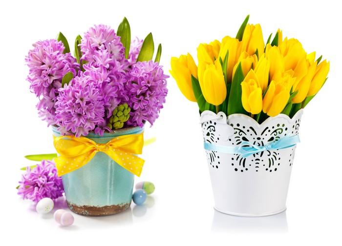 Easter Hyacinths and Tulips with Eggs