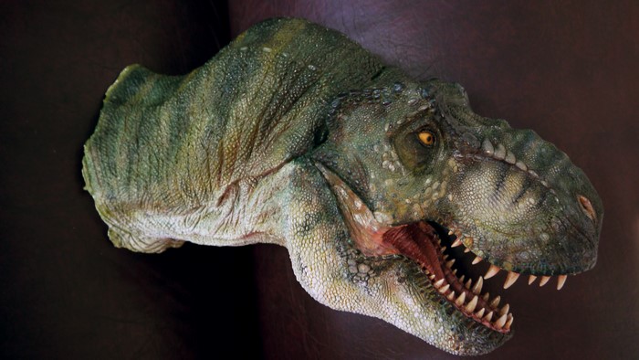 4K Tyrannosaurus Rex Dinosaur Head