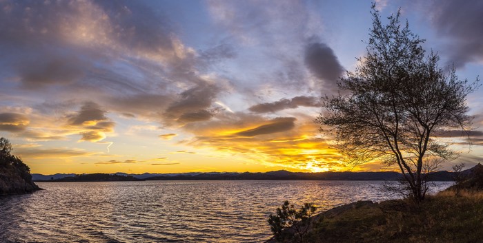 Sunset over a lake with trees in Stavanger, Rogaland, Norway