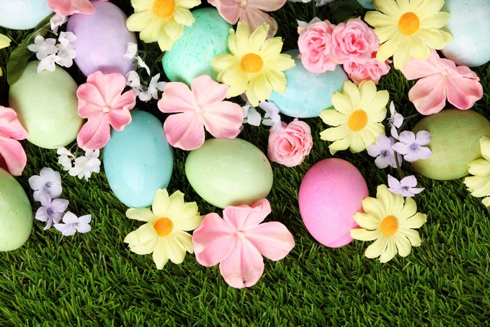Easter eggs and flowers on grass