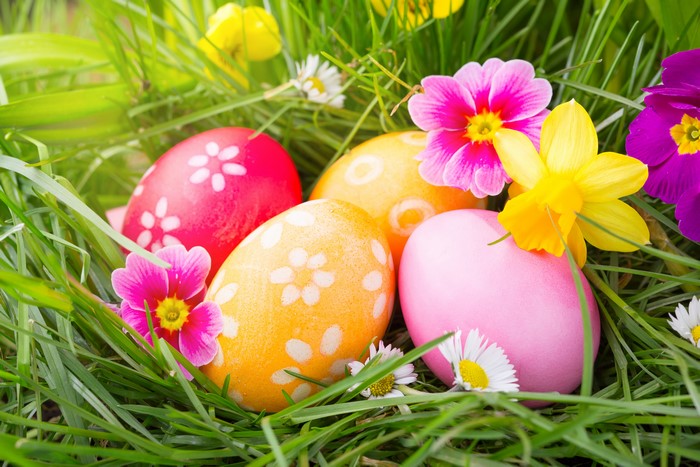 Easter Eggs and Flowers in Grass