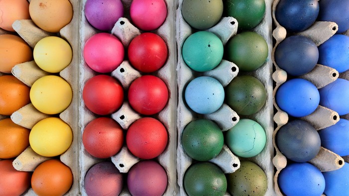 Easter Eggs in Cardboard Cartons