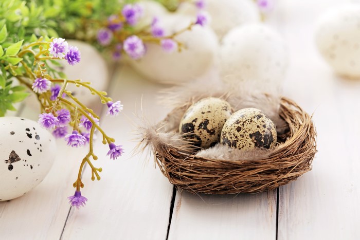 Easter eggs in a nest with feathers and flowers