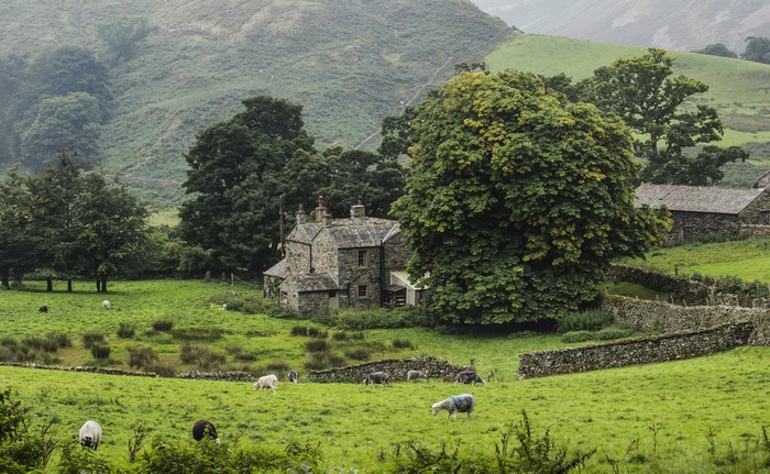 Stone house and sheep in Howtown, England