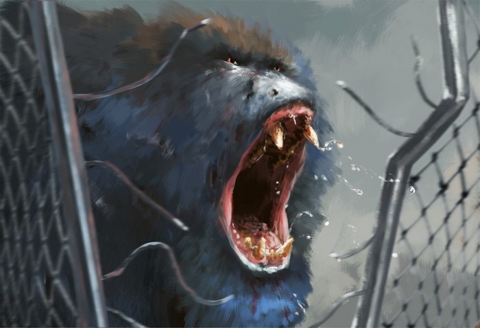 Angry baboon roaring through a fence